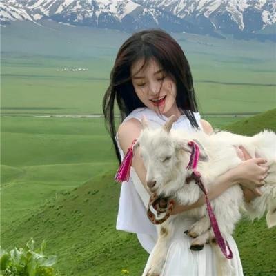 绿头苍蝇 海报