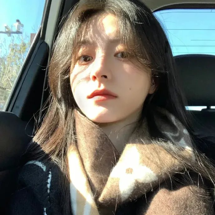 金达莱 海报