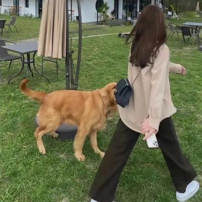 逆女泰瑞丝 海报